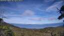 ./images/calvert/fitz-hugh-hecate/20250706/fitz-hugh-hecate20250706_174010M.jpg