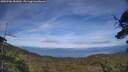 ./images/calvert/fitz-hugh-hecate/20250706/fitz-hugh-hecate20250706_181010M.jpg