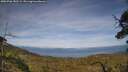 ./images/calvert/fitz-hugh-hecate/20250706/fitz-hugh-hecate20250706_182508M.jpg