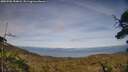 ./images/calvert/fitz-hugh-hecate/20250706/fitz-hugh-hecate20250706_184007M.jpg
