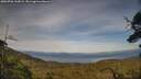 ./images/calvert/fitz-hugh-hecate/20250706/fitz-hugh-hecate20250706_192008M.jpg