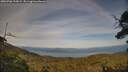 ./images/calvert/fitz-hugh-hecate/20250706/fitz-hugh-hecate20250706_193008M.jpg