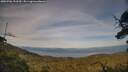 ./images/calvert/fitz-hugh-hecate/20250706/fitz-hugh-hecate20250706_193509M.jpg
