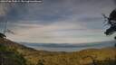 ./images/calvert/fitz-hugh-hecate/20250706/fitz-hugh-hecate20250706_194508M.jpg