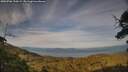 ./images/calvert/fitz-hugh-hecate/20250706/fitz-hugh-hecate20250706_195009M.jpg