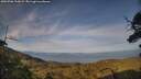 ./images/calvert/fitz-hugh-hecate/20250706/fitz-hugh-hecate20250706_200008M.jpg
