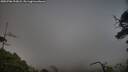 ./images/calvert/fitz-hugh-hecate/20250706/fitz-hugh-hecate20250706_203008M.jpg