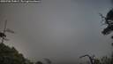 ./images/calvert/fitz-hugh-hecate/20250706/fitz-hugh-hecate20250706_204008M.jpg