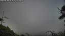 ./images/calvert/fitz-hugh-hecate/20250706/fitz-hugh-hecate20250706_204508M.jpg