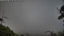 ./images/calvert/fitz-hugh-hecate/20250706/fitz-hugh-hecate20250706_205008M.jpg