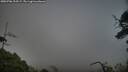./images/calvert/fitz-hugh-hecate/20250706/fitz-hugh-hecate20250706_205508M.jpg