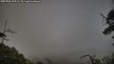 ./images/calvert/fitz-hugh-hecate/20250706/fitz-hugh-hecate20250706_210509M.jpg