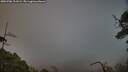 ./images/calvert/fitz-hugh-hecate/20250706/fitz-hugh-hecate20250706_211009M.jpg
