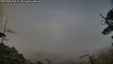 ./images/calvert/fitz-hugh-hecate/20250706/fitz-hugh-hecate20250706_211509M.jpg
