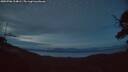 ./images/calvert/fitz-hugh-hecate/20250706/fitz-hugh-hecate20250706_224009M.jpg