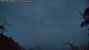 ./images/calvert/fitz-hugh-hecate/20250707/fitz-hugh-hecate20250707_044508M.jpg