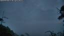 ./images/calvert/fitz-hugh-hecate/20250707/fitz-hugh-hecate20250707_045509M.jpg