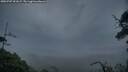 ./images/calvert/fitz-hugh-hecate/20250707/fitz-hugh-hecate20250707_051007M.jpg