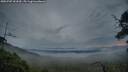 ./images/calvert/fitz-hugh-hecate/20250707/fitz-hugh-hecate20250707_052009M.jpg