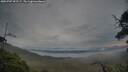 ./images/calvert/fitz-hugh-hecate/20250707/fitz-hugh-hecate20250707_052507M.jpg