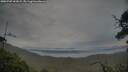 ./images/calvert/fitz-hugh-hecate/20250707/fitz-hugh-hecate20250707_053008M.jpg