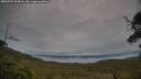 ./images/calvert/fitz-hugh-hecate/20250707/fitz-hugh-hecate20250707_054007M.jpg