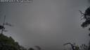 ./images/calvert/fitz-hugh-hecate/20250707/fitz-hugh-hecate20250707_061009M.jpg