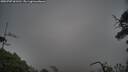 ./images/calvert/fitz-hugh-hecate/20250707/fitz-hugh-hecate20250707_061510M.jpg