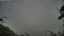 ./images/calvert/fitz-hugh-hecate/20250707/fitz-hugh-hecate20250707_062510M.jpg