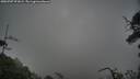 ./images/calvert/fitz-hugh-hecate/20250707/fitz-hugh-hecate20250707_071008M.jpg
