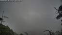 ./images/calvert/fitz-hugh-hecate/20250707/fitz-hugh-hecate20250707_071509M.jpg