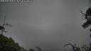 ./images/calvert/fitz-hugh-hecate/20250707/fitz-hugh-hecate20250707_072009M.jpg