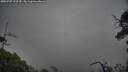 ./images/calvert/fitz-hugh-hecate/20250707/fitz-hugh-hecate20250707_072510M.jpg