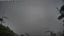 ./images/calvert/fitz-hugh-hecate/20250707/fitz-hugh-hecate20250707_073009M.jpg