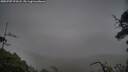 ./images/calvert/fitz-hugh-hecate/20250707/fitz-hugh-hecate20250707_073508M.jpg