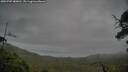 ./images/calvert/fitz-hugh-hecate/20250707/fitz-hugh-hecate20250707_080011M.jpg