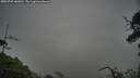 ./images/calvert/fitz-hugh-hecate/20250707/fitz-hugh-hecate20250707_082011M.jpg