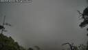 ./images/calvert/fitz-hugh-hecate/20250707/fitz-hugh-hecate20250707_082510M.jpg