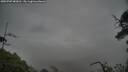 ./images/calvert/fitz-hugh-hecate/20250707/fitz-hugh-hecate20250707_083011M.jpg