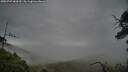 ./images/calvert/fitz-hugh-hecate/20250707/fitz-hugh-hecate20250707_084510M.jpg