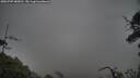 ./images/calvert/fitz-hugh-hecate/20250707/fitz-hugh-hecate20250707_085010M.jpg