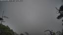 ./images/calvert/fitz-hugh-hecate/20250707/fitz-hugh-hecate20250707_094009M.jpg
