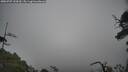 ./images/calvert/fitz-hugh-hecate/20250707/fitz-hugh-hecate20250707_100510M.jpg