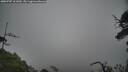 ./images/calvert/fitz-hugh-hecate/20250707/fitz-hugh-hecate20250707_101010M.jpg