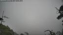 ./images/calvert/fitz-hugh-hecate/20250707/fitz-hugh-hecate20250707_102510M.jpg