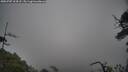 ./images/calvert/fitz-hugh-hecate/20250707/fitz-hugh-hecate20250707_104508M.jpg