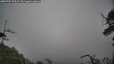 ./images/calvert/fitz-hugh-hecate/20250707/fitz-hugh-hecate20250707_105007M.jpg