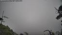 ./images/calvert/fitz-hugh-hecate/20250707/fitz-hugh-hecate20250707_105508M.jpg