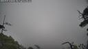 ./images/calvert/fitz-hugh-hecate/20250707/fitz-hugh-hecate20250707_110009M.jpg