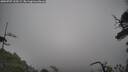 ./images/calvert/fitz-hugh-hecate/20250707/fitz-hugh-hecate20250707_110509M.jpg
